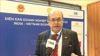 Chủ tịch IVCCI: Ấn Độ và Việt Nam tăng cường hợp tác đúng thời điểm