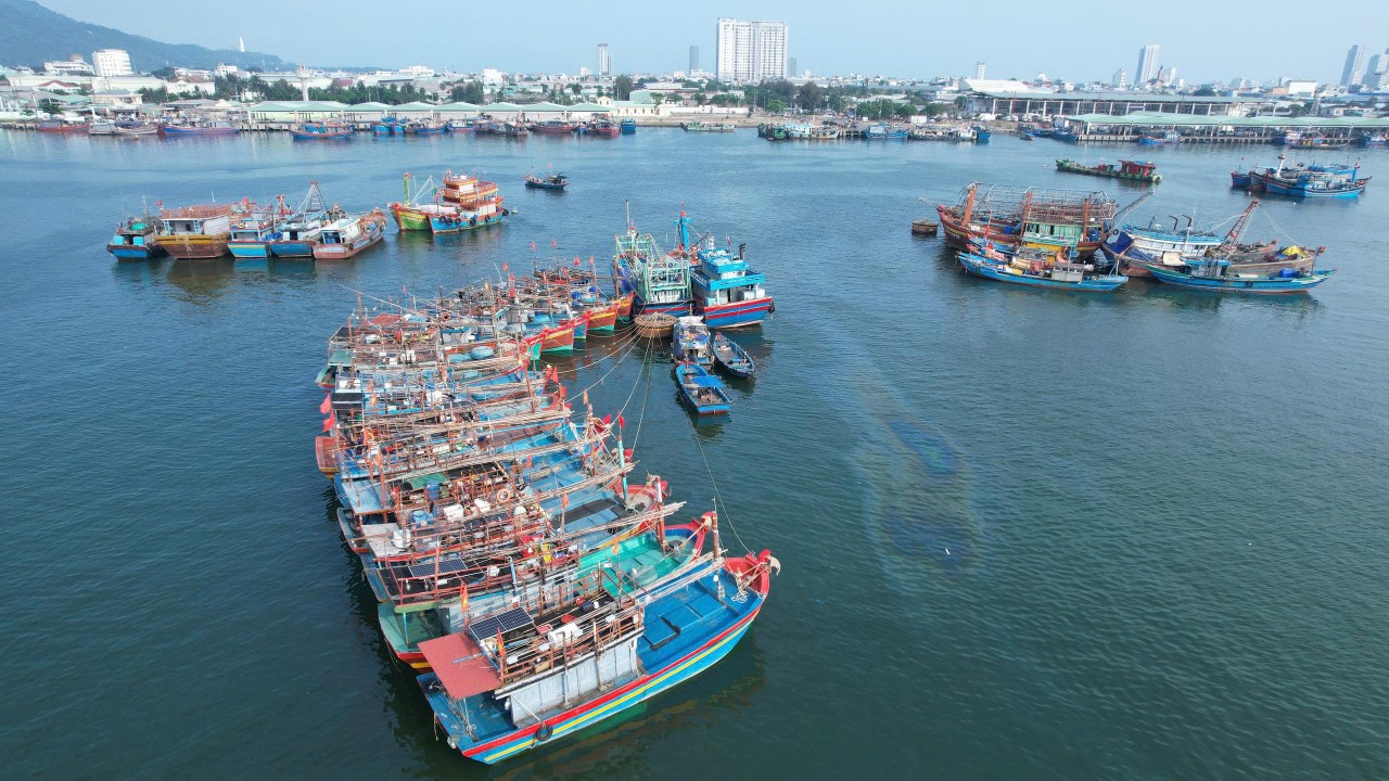 Da Nang currently has 4,062 fishing vessels, all registered and updated in the VnFishbase system (Photo: danang.gov.vn)