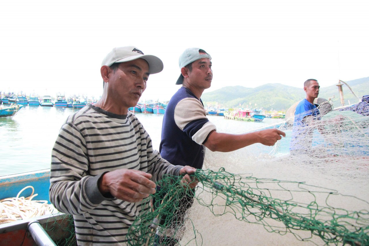 Digital technology applications help fishermen confidently head offshore and contribute to anti-IUU efforts (Photo: danang.gov.vn)