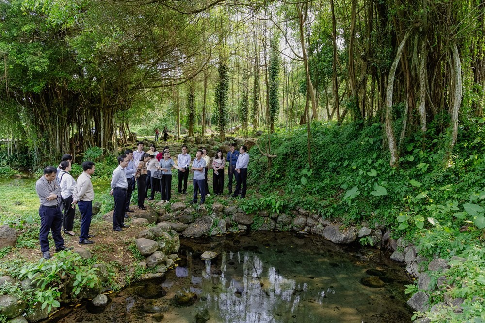 Lãnh đạo UBND tỉnh và Sở VHTTDL tỉnh Quảng Trị kiểm tra, đánh giá về hệ thống giếng cổ Gio An Lãnh đạo UBND tỉnh và Sở VHTTDL tỉnh Quảng Trị kiểm tra, đánh giá về hệ thống giếng cổ Gio An
