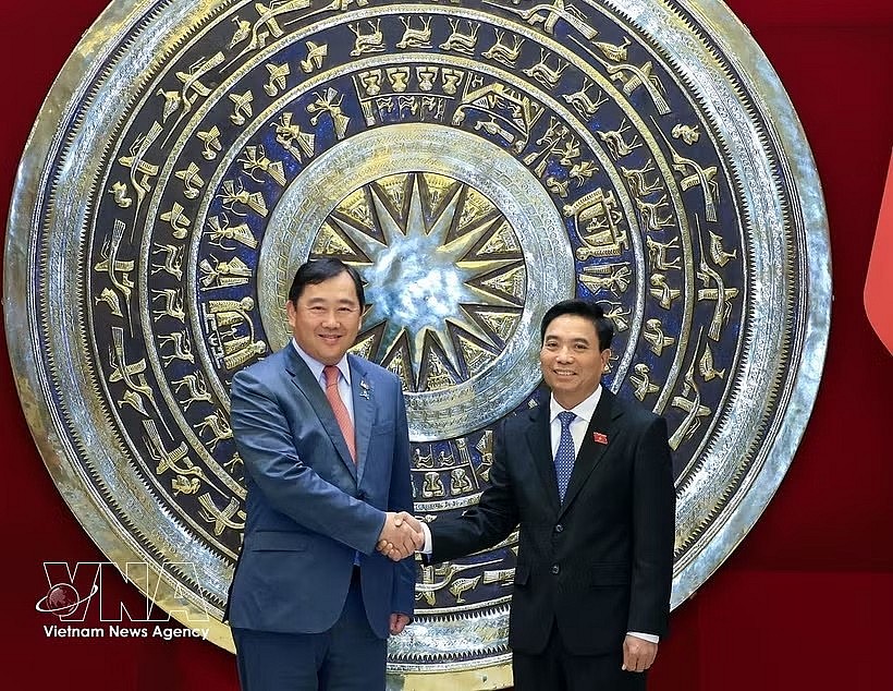 Vice Chairman of the National Assembly Nguyen Doan Anh (R) receives Suos Yara, Chairman of the Commission on Foreign Affairs, International Cooperation, and Information of the Cambodian National Assembly in Hanoi on June 10. (Photo: VNA)