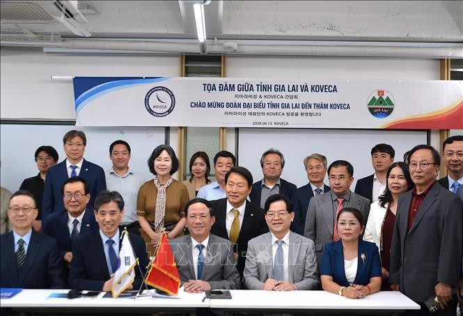 Gia Lai Seeks to Deepen Economic Cooperation with RoK's Investors