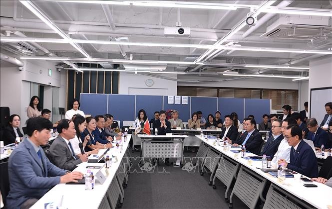 Gia Lai Seeks to Deepen Economic Cooperation with RoK's Investors