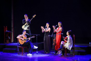 Flamenco: Cultural Bridge Between Vietnam and Spain
