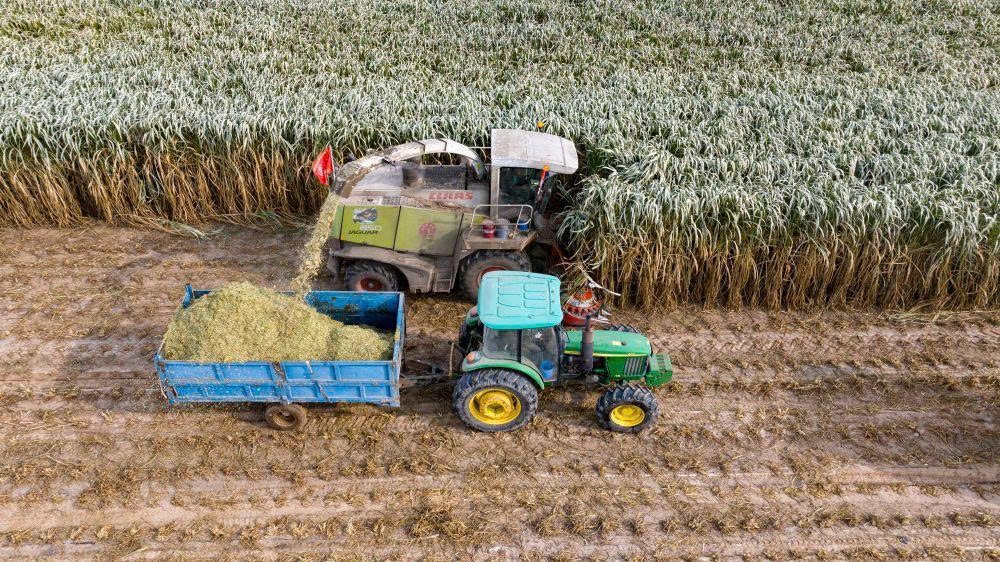 Hợp tác Phúc Kiến - Ninh Hạ: Câu chuyện sinh động về hợp tác xóa đói giảm nghèo giữa miền Đông và miền Tây Trung Quốc Hợp tác Phúc Kiến - Ninh Hạ: Câu chuyện sinh động về hợp tác xóa đói giảm nghèo giữa miền Đông và miền Tây Trung Quốc