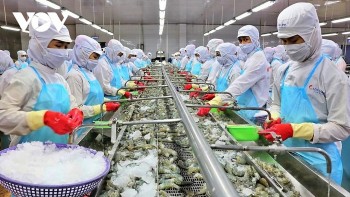 Vietnam News Today (July 5): Vietnam Supports Global Efforts for Energy Efficiency at IEA Conference