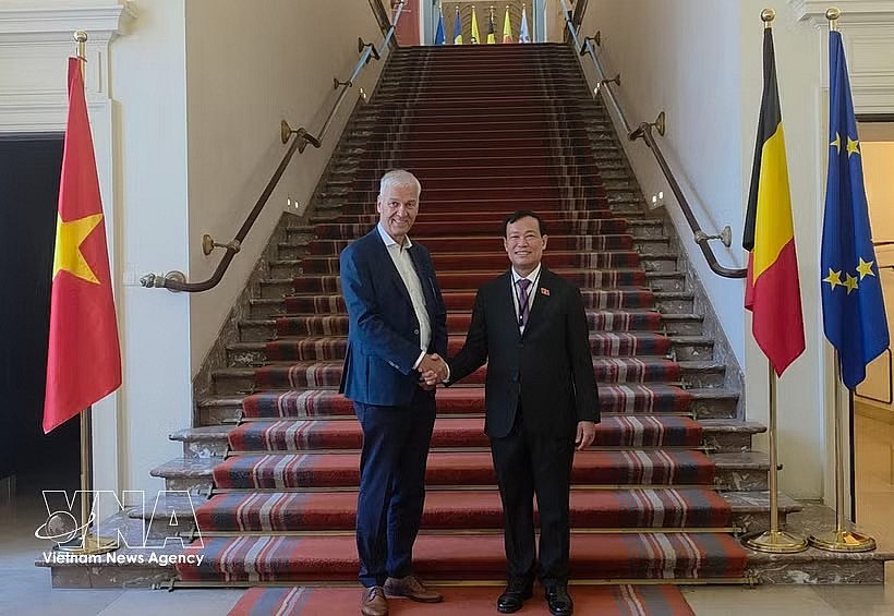 Chairman of the National Assembly's Committee for National Defence, Security and Foreign Affairs Senior Lieutenant General Le Tan Toi (right) meets with First Vice President of the Belgian Senate Andries Gryffroy. (Photo: VNA) Chairman of the National Assembly's Committee for National Defence, Security and Foreign Affairs Senior Lieutenant General Le Tan Toi (right) meets with First Vice President of the Belgian Senate Andries Gryffroy. (Photo: VNA)