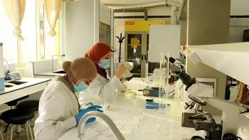 Algeria Shares Healthcare Expertise to Advance Africa's Pharmaceutical Self-Reliance