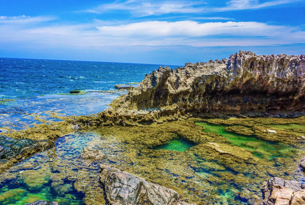 Top Coral Reef Diving Destinations in Viet Nam for Summer 2026 Top Coral Reef Diving Destinations in Viet Nam for Summer 2026