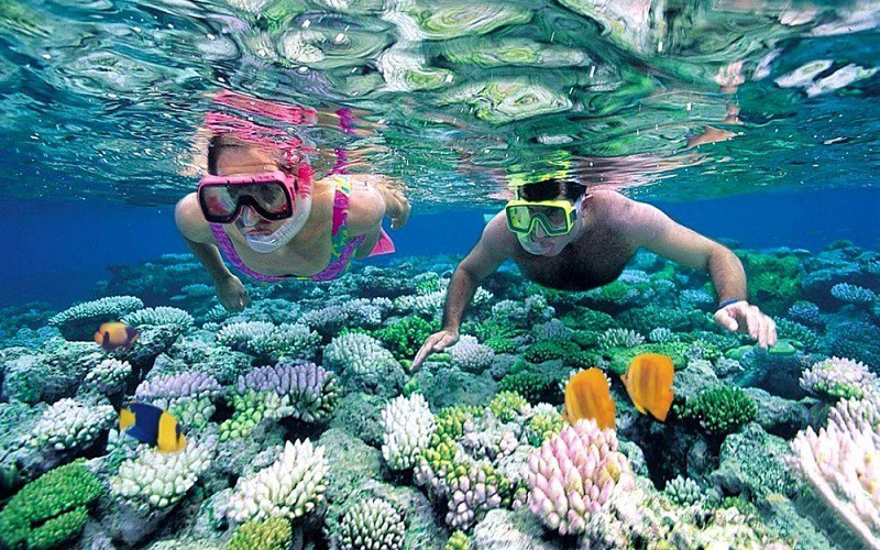 Top Coral Reef Diving Destinations in Viet Nam for Summer 2026 Top Coral Reef Diving Destinations in Viet Nam for Summer 2026