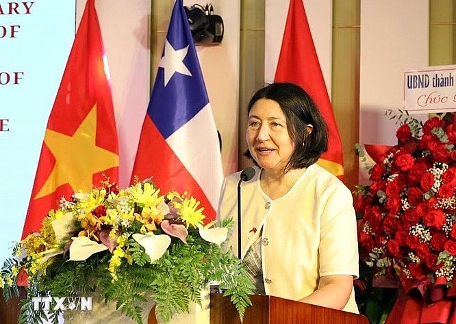 Da Nang Promotes Connections with Localities and Businesses in Chile Da Nang Promotes Connections with Localities and Businesses in Chile