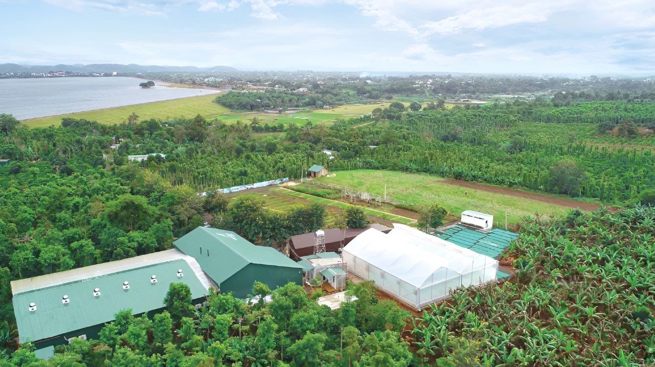 Aeroco Farm in Cao Thanh Village, Ea Kao Commune, Dak Lak Province, approximately 12 km southeast of Buon Ma Thuot City. (Photo: Minh Anh)
