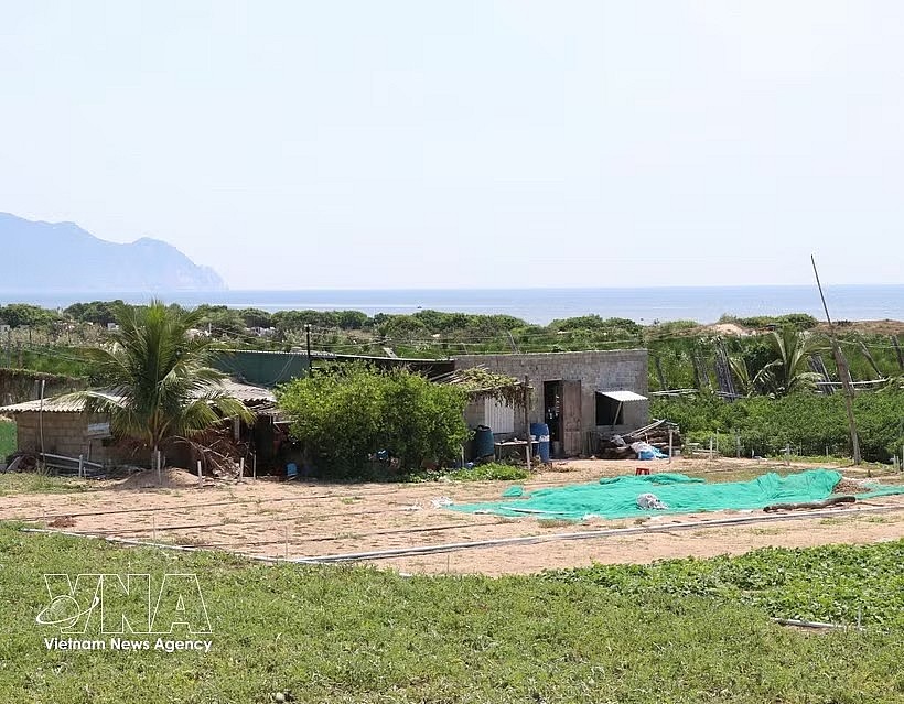 A site for constructing Ninh Thuan 2 Nuclear Power Plant in Thai An village, Vinh Hai commune, Khanh Hoa province. (Photo: VNA) A site for constructing Ninh Thuan 2 Nuclear Power Plant in Thai An village, Vinh Hai commune, Khanh Hoa province. (Photo: VNA)