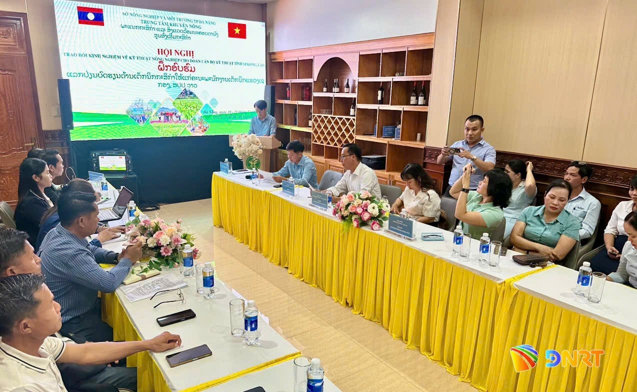 Đà Nẵng chia sẻ kỹ thuật phát triển nông nghiệp với cán bộ tỉnh Sê Kông (Lào) Đà Nẵng chia sẻ kỹ thuật phát triển nông nghiệp với cán bộ tỉnh Sê Kông (Lào)