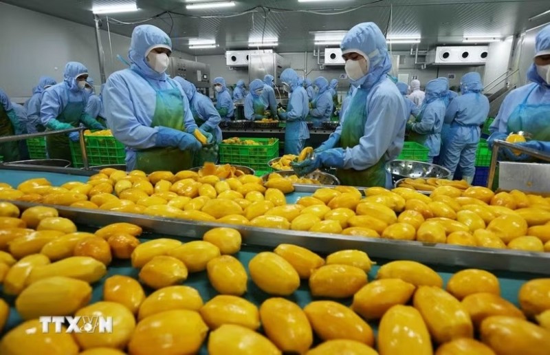 Vietnam is considered a highly promising market for U.S. agribusinesses. (Illustrative photo: Vu Sinh/VNA) Vietnam is considered a highly promising market for U.S. agribusinesses. (Illustrative photo: Vu Sinh/VNA)