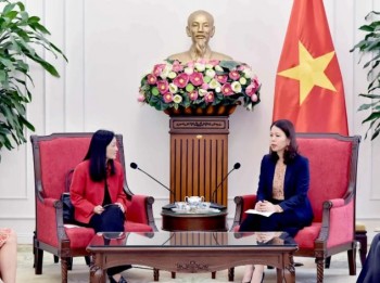 ຫວຽດນາມ ແລະ ອາເມລິກາ ເພີ່ມທະວີການປະສານງານ, ການຮ່ວມມື