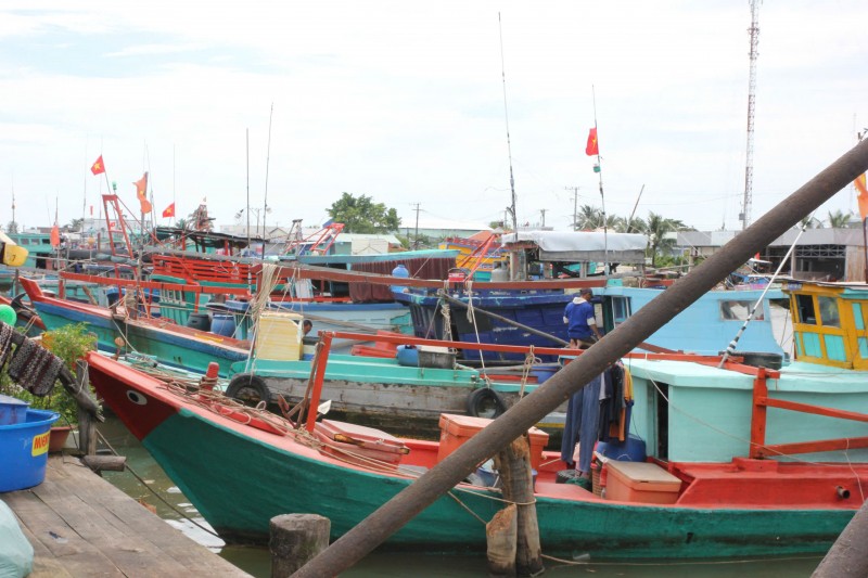 Chuyển đổi số tạo đột phá trong quản lý tàu cá ở Cà Mau