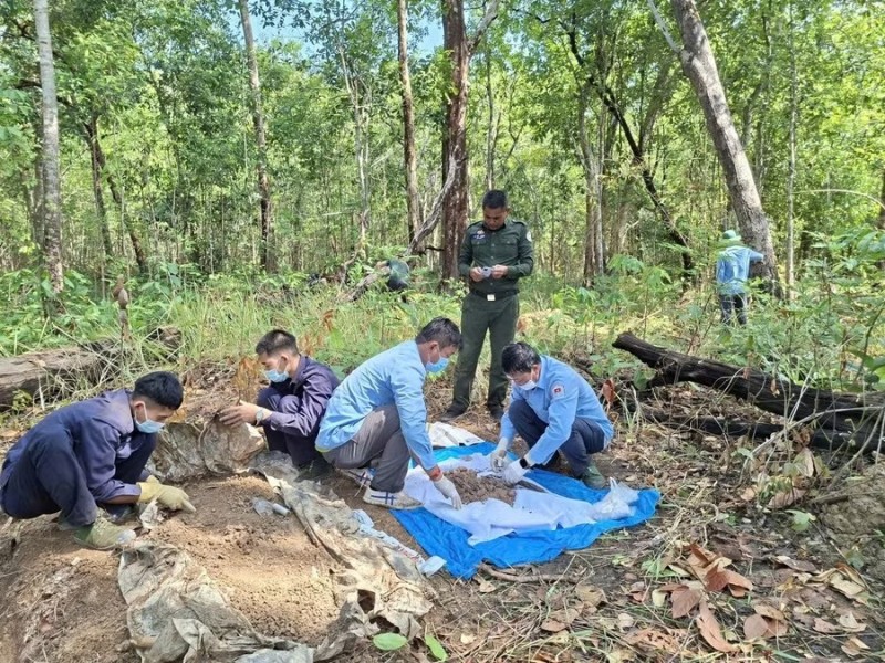 Memories That Lead Vietnam’s Fallen Soldiers Home