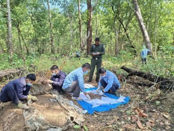 Memories That Lead Vietnam’s Fallen Soldiers Home