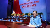 មហាសន្និបាតលើកទី ១៤ នៃសហជីពការងារវៀតណាម នឹងបោះឆ្នោតជ្រើសរើសសមាជិកគណៈកម្មាធិការប្រតិបត្តិអាណត្តិថ្មីចំនួន ១៣៥ រូប