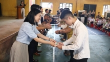 អង្គការ Tzu Chi ប្រគល់អាហារូបករណ៍ចំនួន ៧០០ កន្លែង ដល់សិស្ស និស្សិតដែលមានជីវភាពខ្វះខាតនៅទីក្រុង Hai Phong
