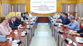 ជំរុញកិច្ចសហប្រតិបត្តិការអប់រំ វៀតណាម - រូម៉ានី