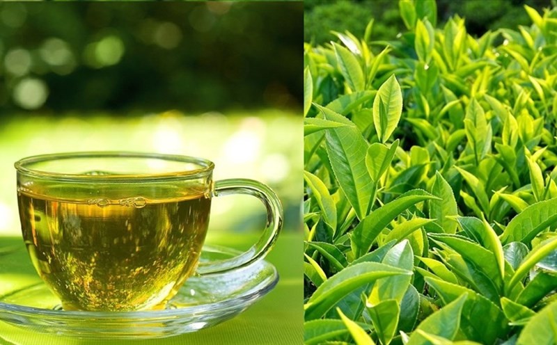 Green tea supports weight loss. Green tea supports weight loss.