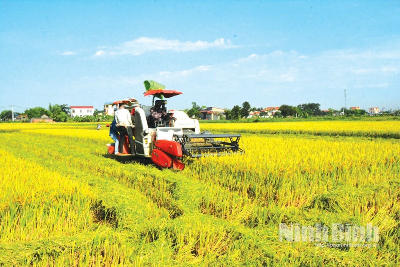 Promoting agricultural mechanisation encourages farmers to embrace science and technology while improving economic efficiency. (Photo: Ninh Binh Newspaper) 