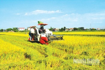 Chinese Businesses Value Agricultural Mechanisation Cooperation with Vietnam