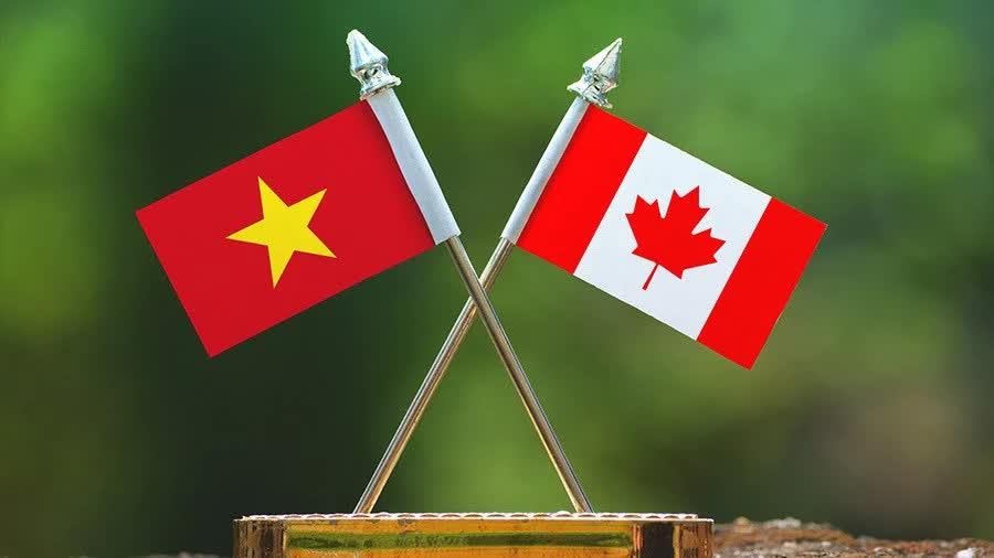 Bạn bè Canada chia sẻ về giá trị độc lập, tự chủ của Việt Nam