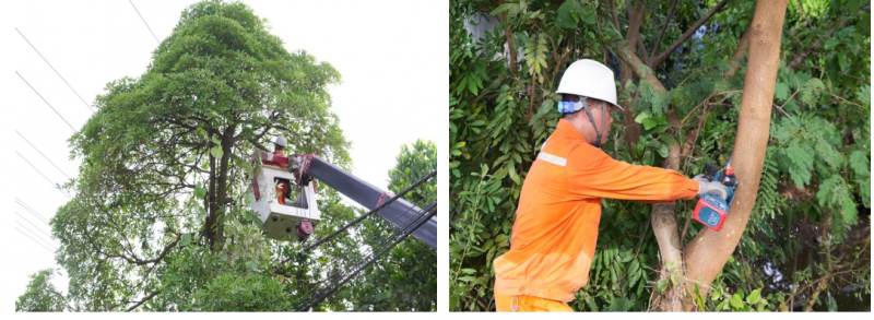 Công ty Điện lực Thái Nguyên thực hiện phát quang, cắt tỉa cây cối gần hành lang lưới điện, chủ động loại trừ nguy cơ ảnh hưởng đến đường dây trong mùa mưa bão Công ty Điện lực Thái Nguyên thực hiện phát quang, cắt tỉa cây cối gần hành lang lưới điện, chủ động loại trừ nguy cơ ảnh hưởng đến đường dây trong mùa mưa bão