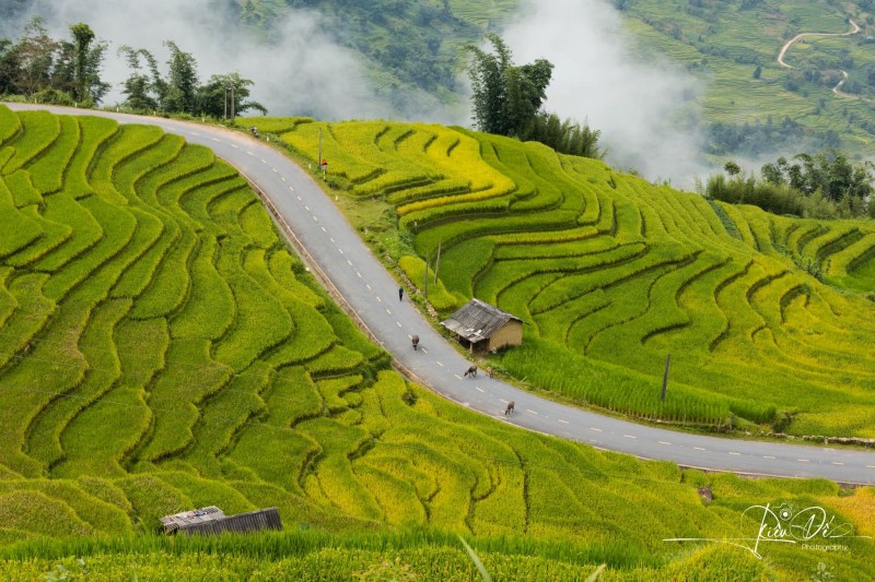 A Lu scenic route. (Photo: Lao Dong Newspaper) A Lu scenic route. (Photo: Lao Dong Newspaper)