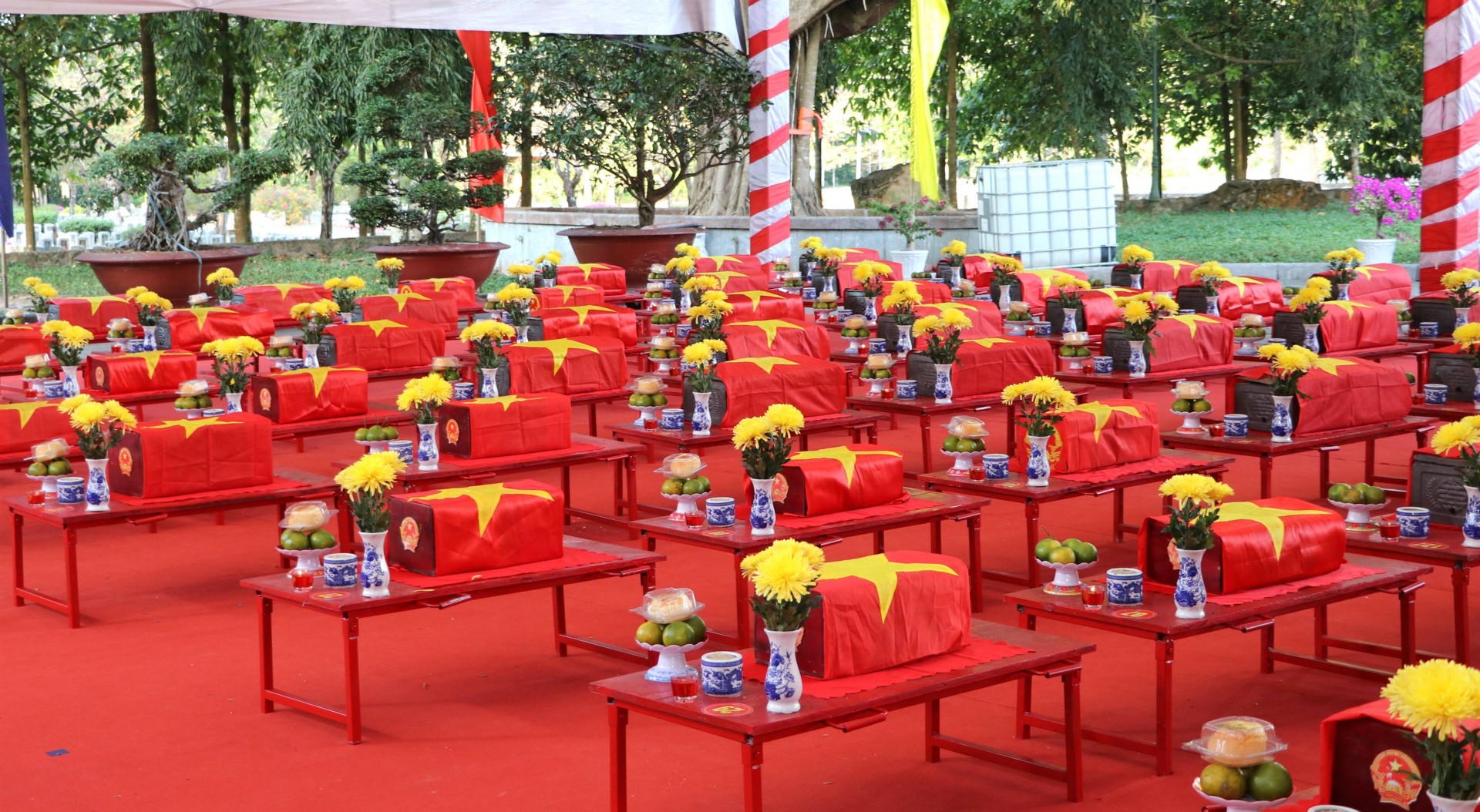 Mùa khô 2026-2027: Tây Ninh phấn đấu quy tập 440 hài cốt liệt sĩ tại Campuchia Mùa khô 2026-2027: Tây Ninh phấn đấu quy tập 440 hài cốt liệt sĩ tại Campuchia