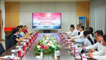 Trao tặng, trồng 100 cây ngô đồng hữu nghị Việt Nam - Trung Quốc tại Tây Ninh