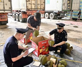 谅山多举措提升农产品通关效率