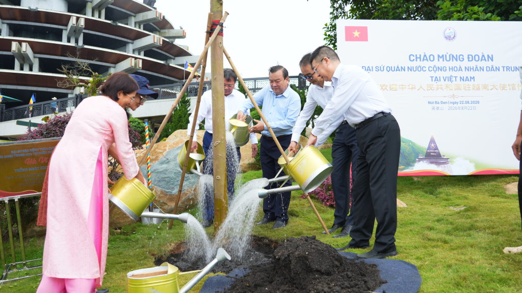 100棵梧桐树在西宁省巴登山见证越中友谊 100棵梧桐树在西宁省巴登山见证越中友谊