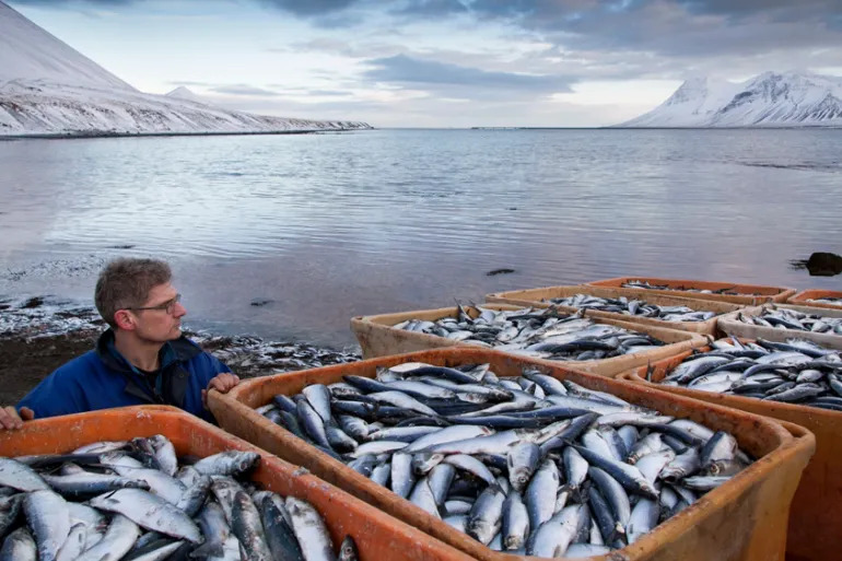 từ bờ vịnh Kolgrafafjordur, một vịnh nhỏ trên bán đảo Snaefellsnes ở phía tây Iceland từ bờ vịnh Kolgrafafjordur, một vịnh nhỏ trên bán đảo Snaefellsnes ở phía tây Iceland