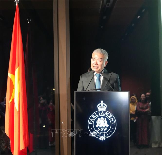 Tổng Lãnh sự Việt Nam phụ trách bang New South Wales, bang Queensland và bang Nam Australia Nguyễn Thanh Tùng. Ảnh: Lê Đạt/TTXVN Tổng Lãnh sự Việt Nam phụ trách bang New South Wales, bang Queensland và bang Nam Australia Nguyễn Thanh Tùng. Ảnh: Lê Đạt/TTXVN