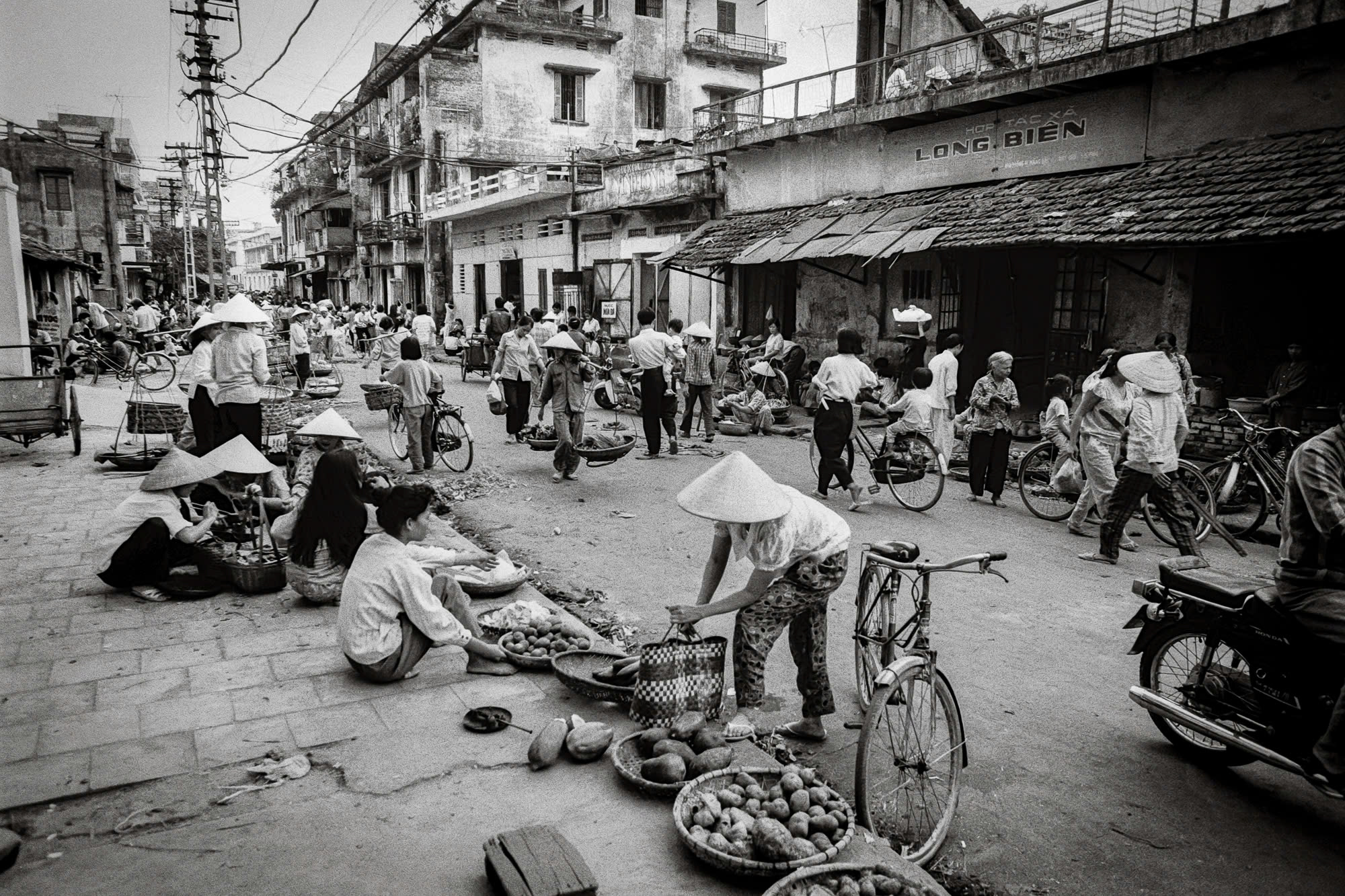 Thư tình gửi Việt Nam