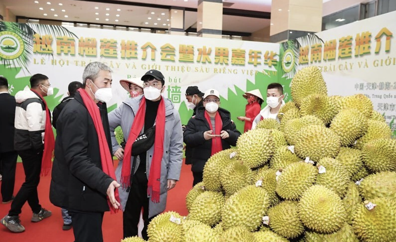 Ảnh minh hoạ: Bà Lưu Nhất Đồng, Giám đốc điều hành Viện nghiên cứu Kinh tế Quốc tế Vista trong chuyến khảo sát tại Trung tâm Đổi mới sáng tạo Quốc gia Việt Nam. Ảnh minh hoạ: Bà Lưu Nhất Đồng, Giám đốc điều hành Viện nghiên cứu Kinh tế Quốc tế Vista trong chuyến khảo sát tại Trung tâm Đổi mới sáng tạo Quốc gia Việt Nam.