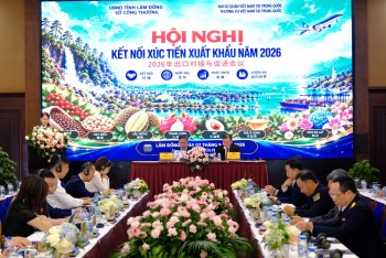 林同省拓展农产品进入中国市场的机遇