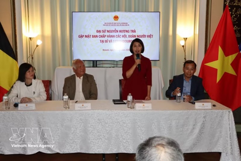 Ambassador Nguyen Huong Tra briefs representatives of the Vietnamese communities in Belgium and Luxembourg on the country's situation. (Photo: VNA) Ambassador Nguyen Huong Tra briefs representatives of the Vietnamese communities in Belgium and Luxembourg on the country's situation. (Photo: VNA)