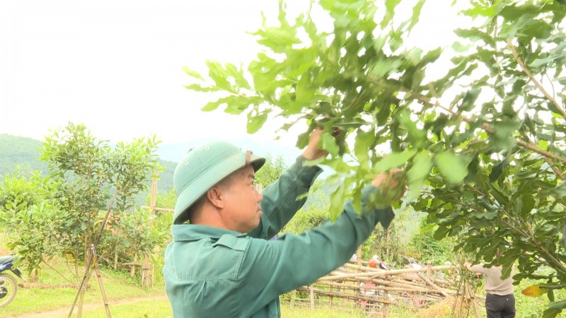 Từ vùng nguyên liệu đến chuỗi giá trị nông sản Điện Biên