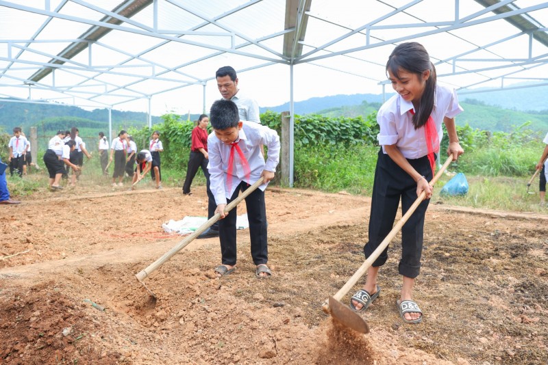 Tiếp sức ước mơ rau xanh Tà Long Tiếp sức ước mơ rau xanh Tà Long