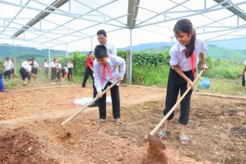 Giving Wings to Ta Long’s Green Vegetable Dream