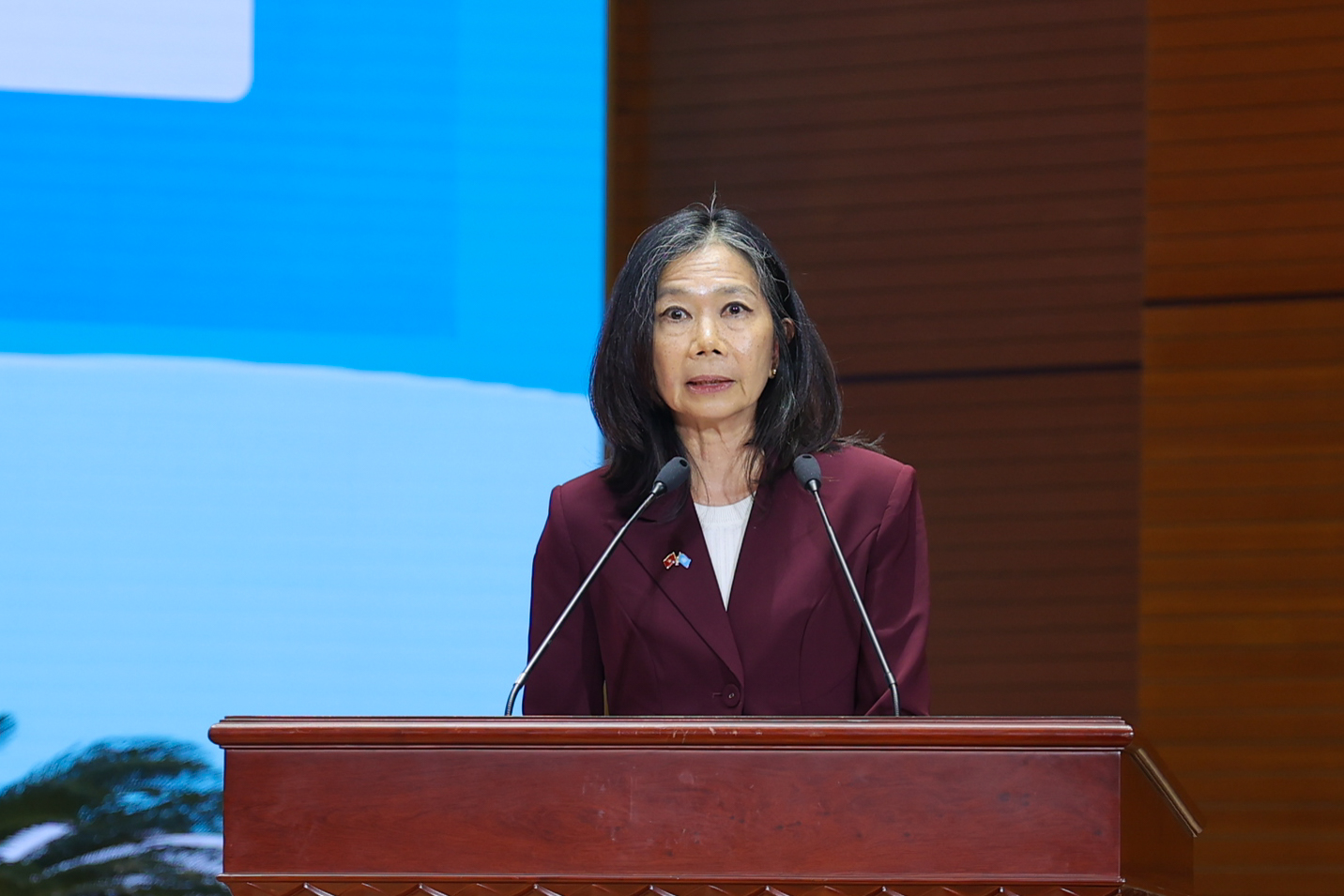 Pauline Tamesis, United Nations Resident Coordinator in Viet Nam. (Photo: Dinh Hoa) Pauline Tamesis, United Nations Resident Coordinator in Viet Nam. (Photo: Dinh Hoa)