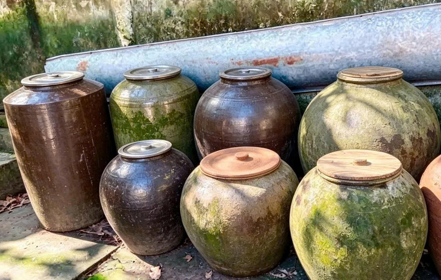 Cà Mau chủ động 