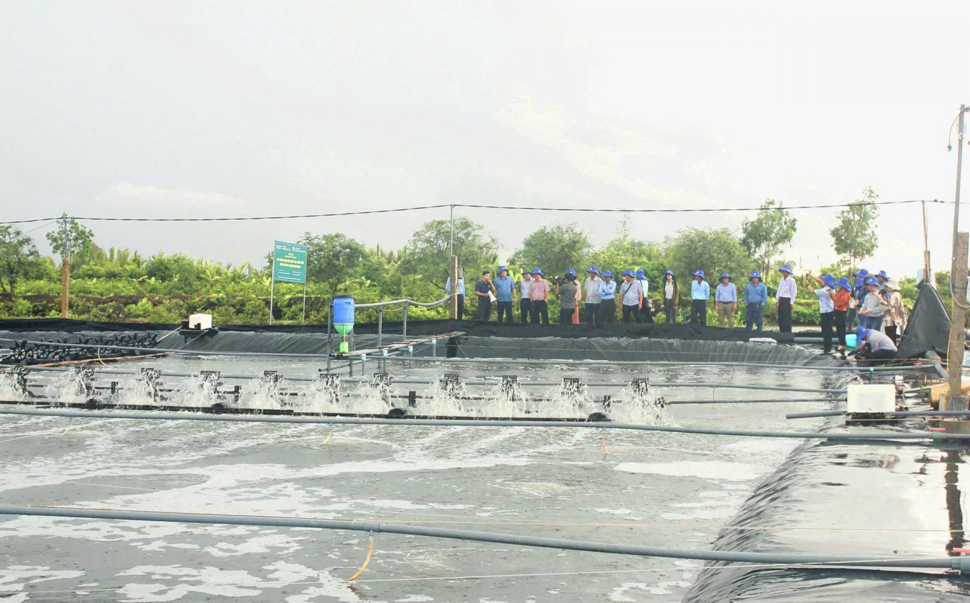 Cà Mau chủ động 