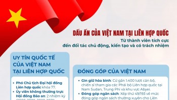 [Infographic] Từ thành viên tích cực đến đối tác chủ động, kiến tạo và có trách nhiệm