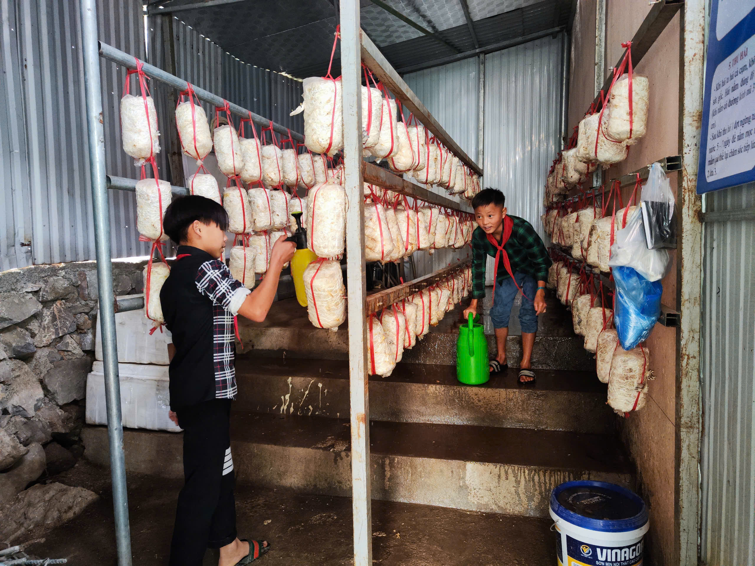 Học nghề từ những điều quen thuộc Học nghề từ những điều quen thuộc
